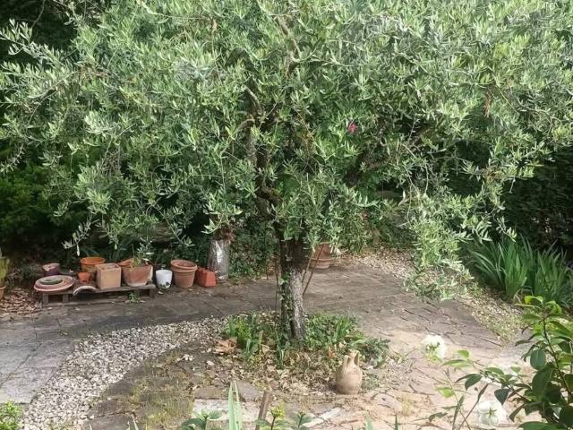 Villa Indipendente in vendita a Figline e Incisa Valdarno, Figline Valdarno