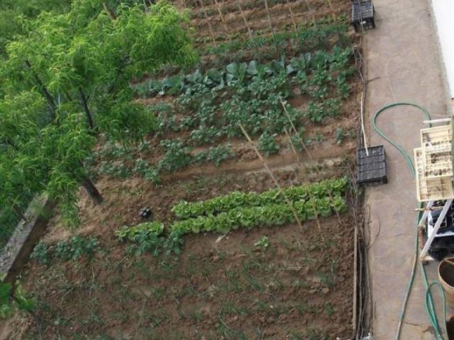 Villa Indipendente in vendita a Figline e Incisa Valdarno, Figline Valdarno