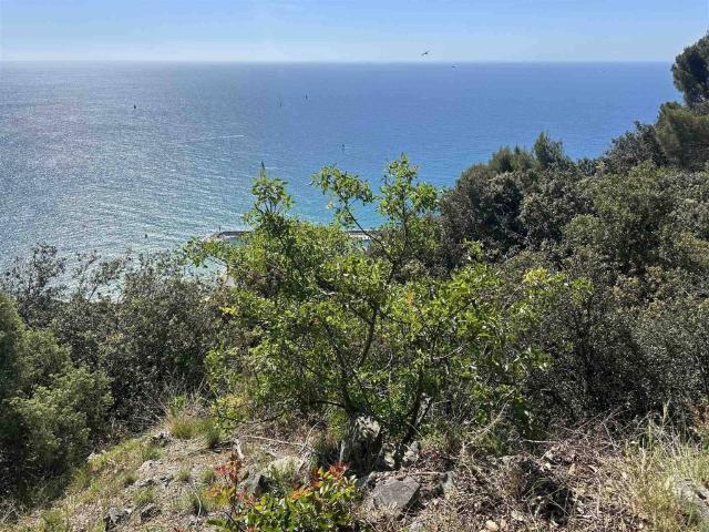 Villa Indipendente in vendita a Calvisio, Finale Ligure