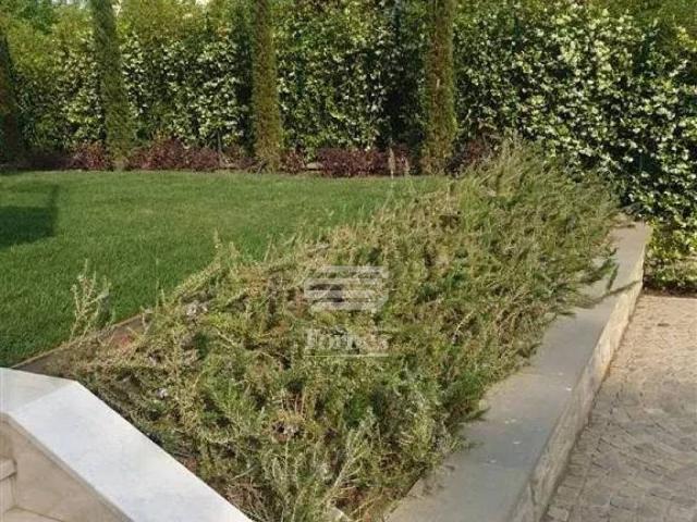 Villa Indipendente in vendita a Quartiere 3, Firenze
