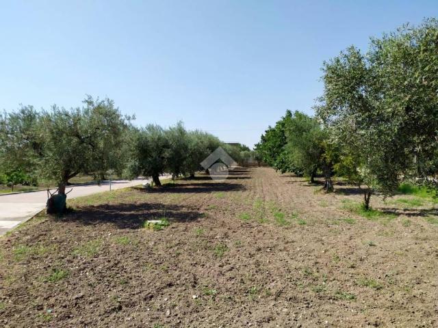 Villa Indipendente in vendita a Foggia