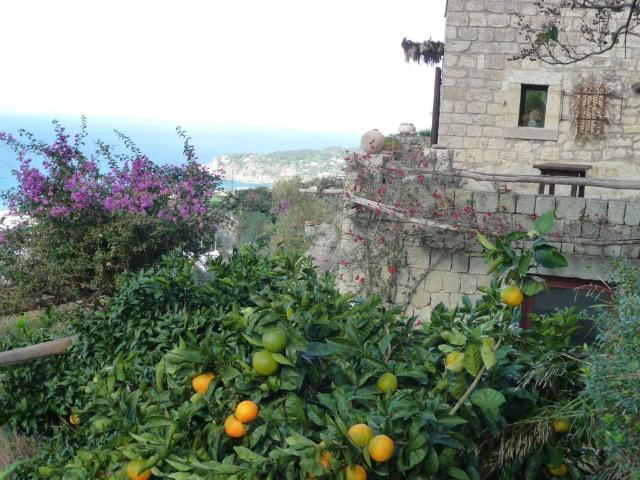 Villa Indipendente in vendita a Forio, Campania