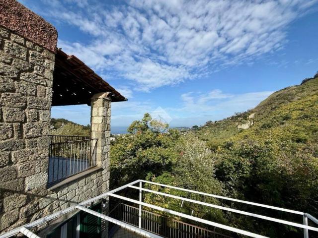 Villa Indipendente in vendita a Cuotto, Forio