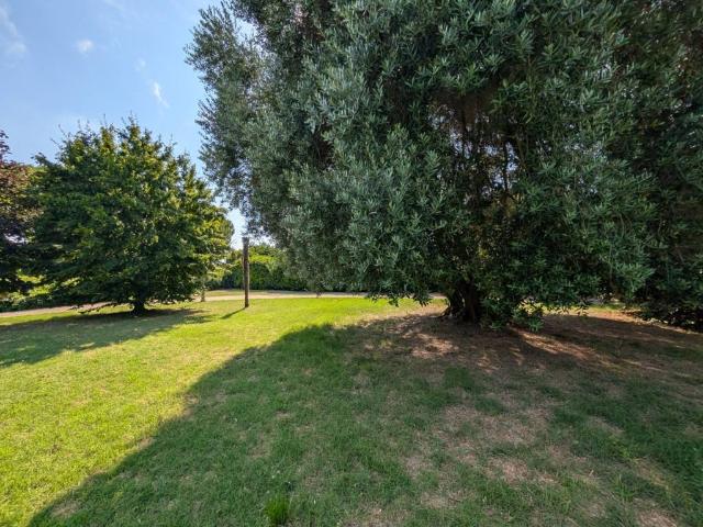 Villa Indipendente in vendita a Unione di Comuni della Romagna Forlivese, Forlimpopoli
