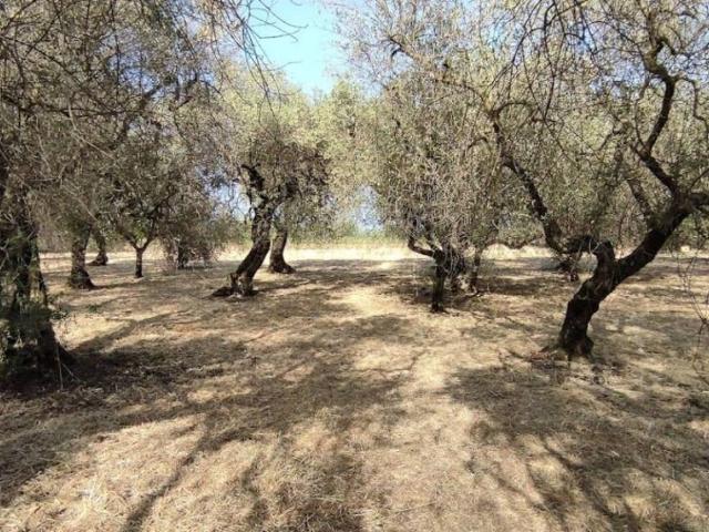 Villa Indipendente in vendita a Gianola, Formia