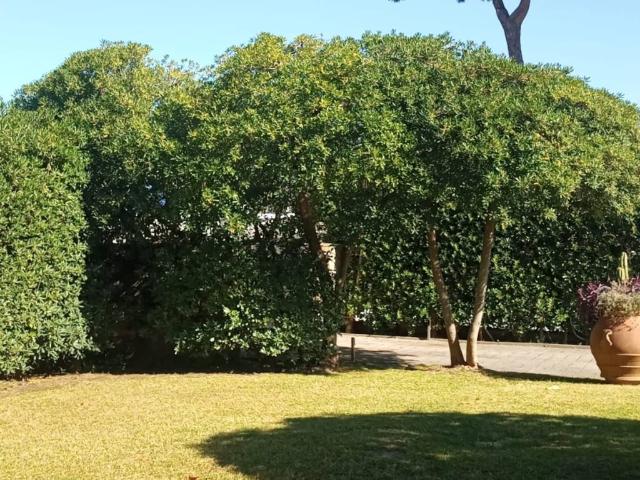 Villa Indipendente in vendita a Vaiana, Forte Dei Marmi