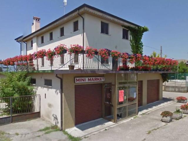 Villa Indipendente in vendita a Fossalta, Veneto