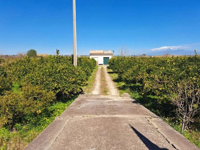 Villa Indipendente in vendita a Francofonte, Sicilia