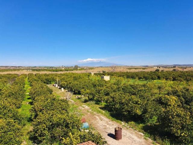 Villa Indipendente in vendita a Francofonte, Sicilia