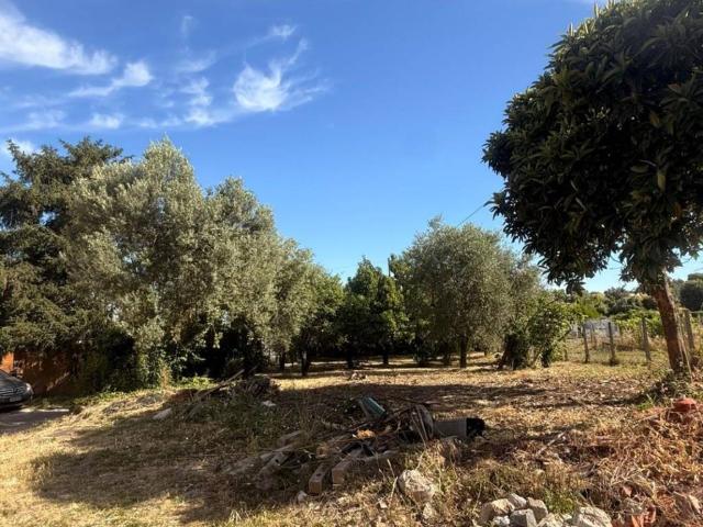 Villa Indipendente in vendita a Colle Maria, Roma Capitale