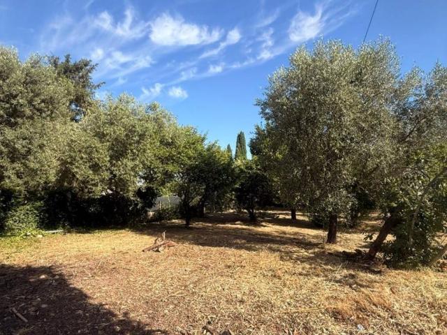 Villa Indipendente in vendita a Colle Maria, Roma Capitale