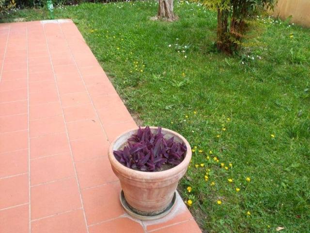 Villa Indipendente in vendita a Fucecchio, Firenze