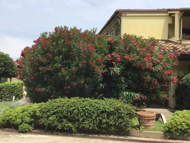 Villa Indipendente in vendita a Marche, Pesaro E Urbino