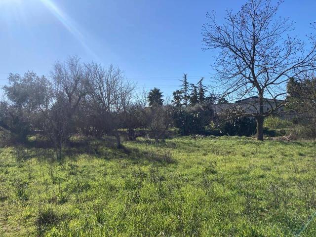 Villa Indipendente in vendita a Puglia, Lecce