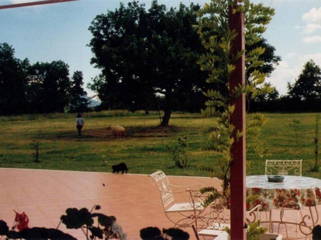 Villa Indipendente in vendita a Gallese, Lazio