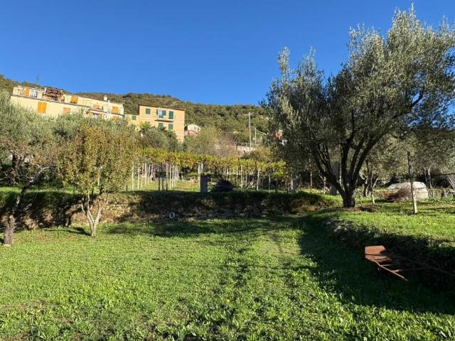 Villa Indipendente in vendita a Levante, Serra Riccò