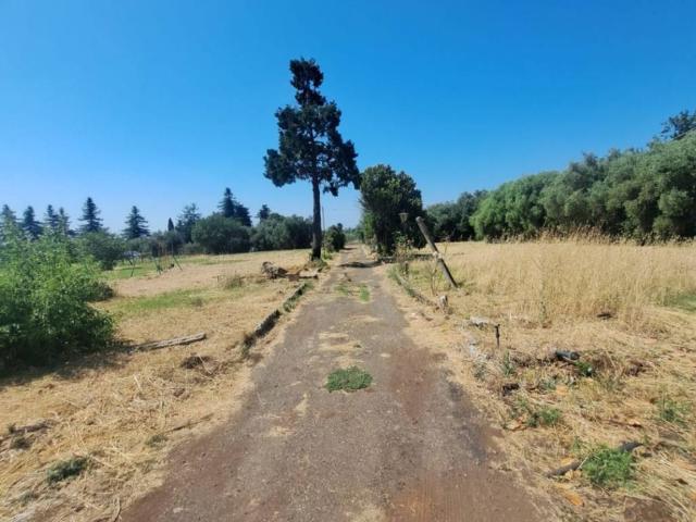 Villa Indipendente in vendita a Roma Capitale, Lazio