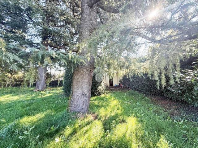 Villa Indipendente in vendita a Villaggio Moneta, Gerenzano