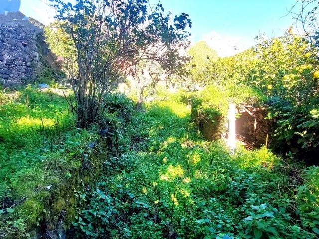 Villa Indipendente in vendita a Macchia, Giarre