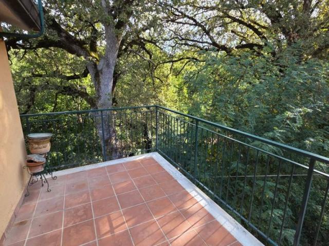 Villa Indipendente in vendita a Calabria, Catanzaro