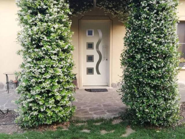 Villa Indipendente in vendita a Giussago, Lombardia