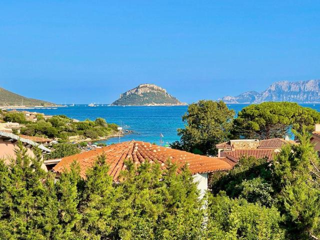 Villa Indipendente in vendita a Baia Caddinas, Golfo Aranci