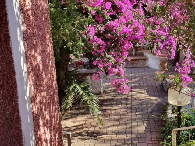 Villa Indipendente in vendita a Baia Caddinas, Golfo Aranci