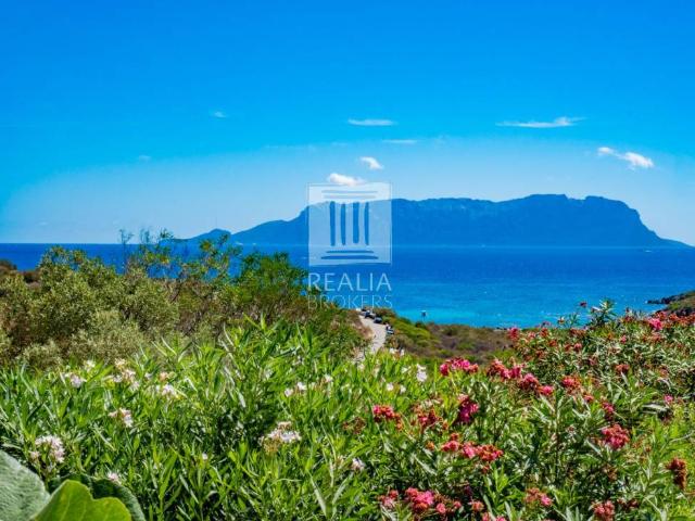 Villa Indipendente in vendita a Golfo Aranci, Sassari