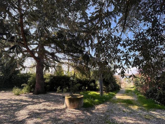 Villa Indipendente in vendita a Graffignano, Lazio