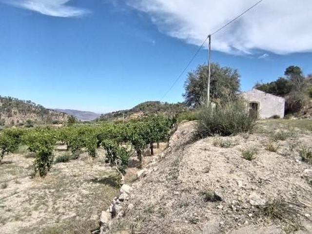 Villa Indipendente in vendita a Grammichele, Sicilia