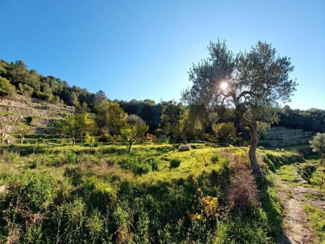 Villa Indipendente in vendita a Gratteri, Sicilia