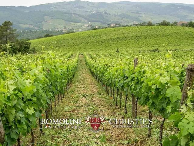 Villa Indipendente in vendita a San Polo In Chianti, Toscana