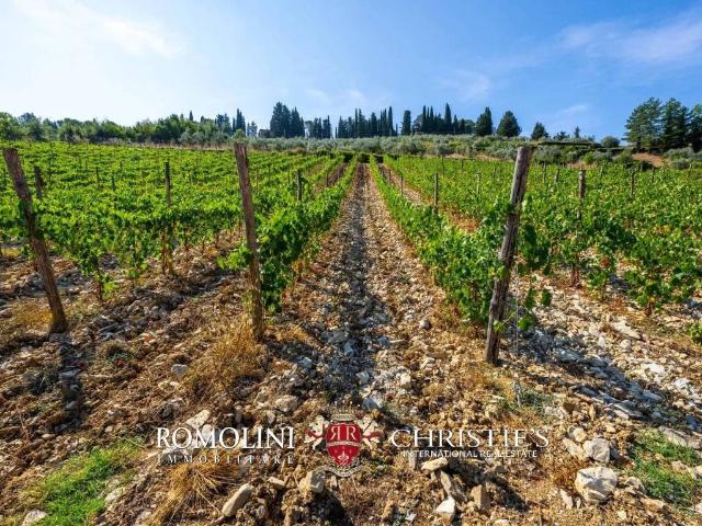 Villa Indipendente in vendita a San Polo In Chianti, Firenze