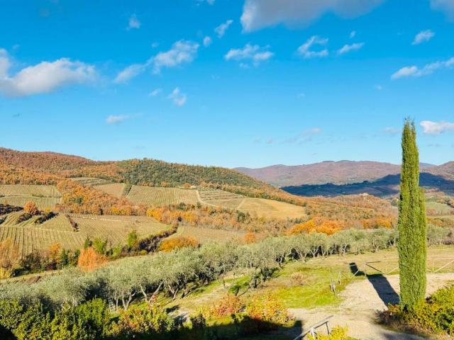 Villa Indipendente in vendita a San Polo In Chianti, Firenze