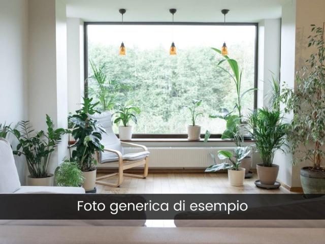 Villa Indipendente in vendita a Barbanella, Monte Argentario