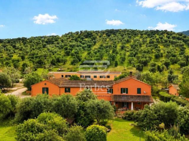 Villa Indipendente in vendita a Casalecci, Monte Argentario
