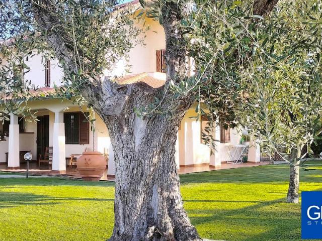Villa Indipendente in vendita a Istia Ponte, Monte Argentario