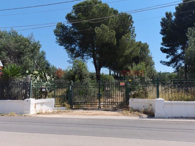 Villa Indipendente in vendita a Puglia, Taranto