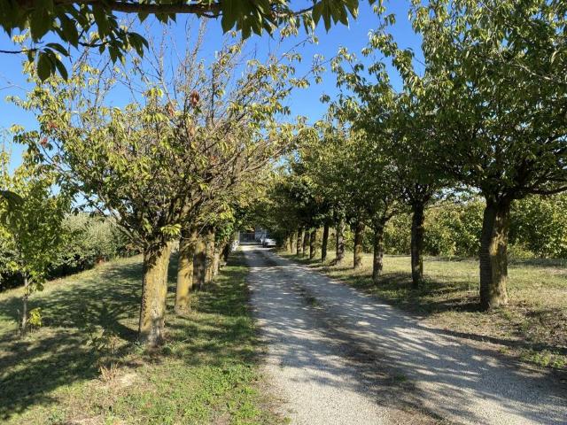 Villa Indipendente in vendita a Il Monte, Guarene
