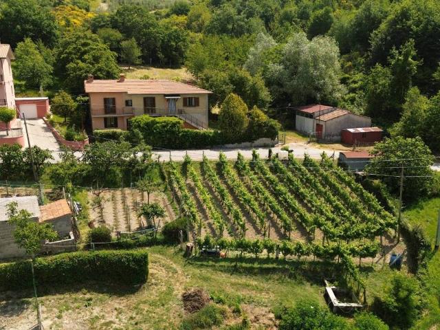 Villa Indipendente in vendita a Casanova di Torre, Gubbio