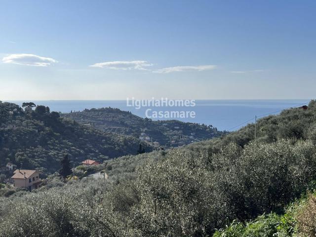 Villa Indipendente in vendita a Oliveto, Imperia