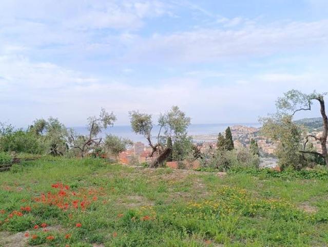 Villa Indipendente in vendita a Oliveto, Imperia