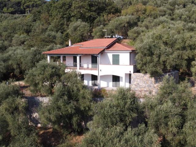 Villa Indipendente in vendita a Artallo, Imperia