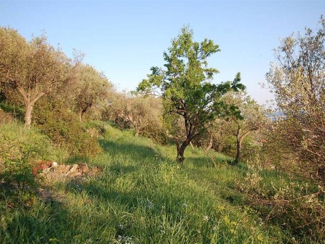 Villa Indipendente in vendita a Imperia, Liguria
