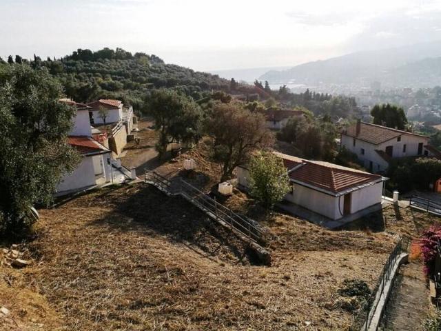 Villa Indipendente in vendita a Oliveto, Imperia