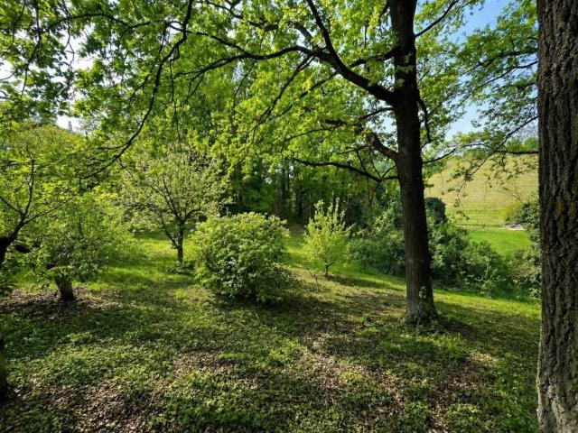 Villa Indipendente in vendita a Piemonte, Asti