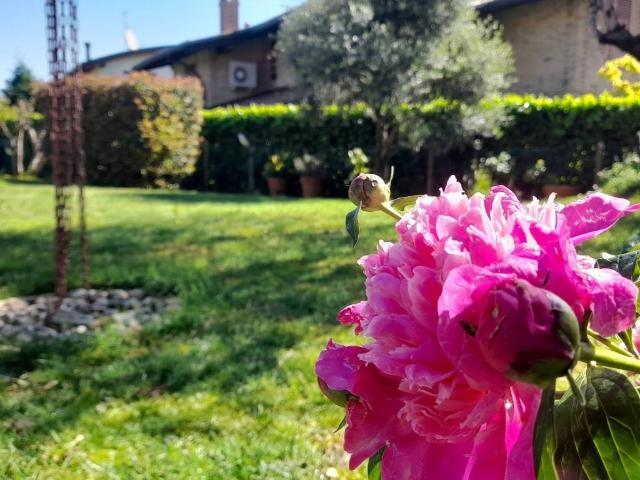 Villa Indipendente in vendita a Mandresca, Inverigo
