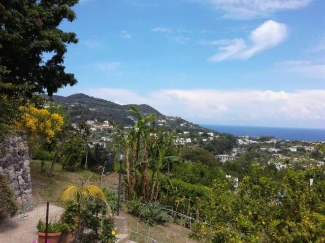 Villa Indipendente in vendita a Piano Liguori, Ischia