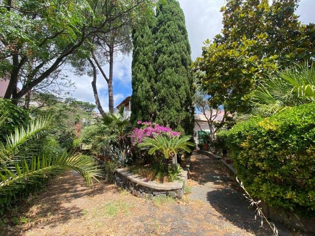 Villa Indipendente in vendita a Piripissa, Ischia