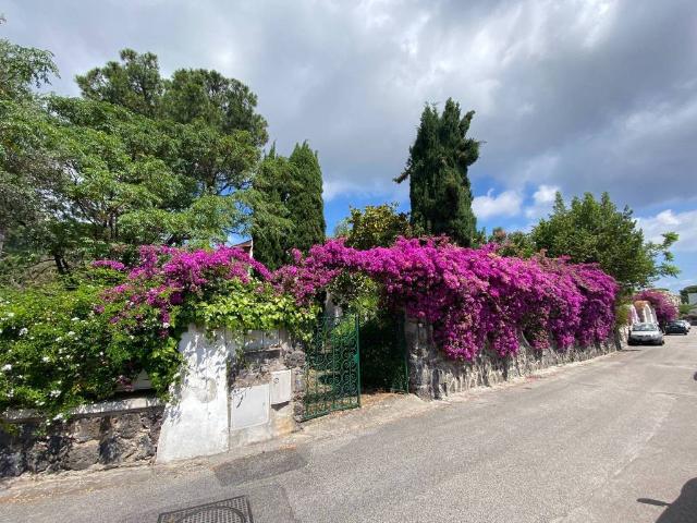 Villa Indipendente in vendita a Piripissa, Ischia
